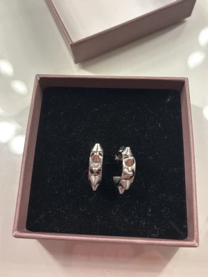 Silvriga örhängen med nitar - Jag säljer dessa snygga Edblad örhängena för dom kommer inte till användning för mig.du får dom i boxen som syns i bilderna.Använda typ 1-2 gånger.ordinarie pris 400kr!!