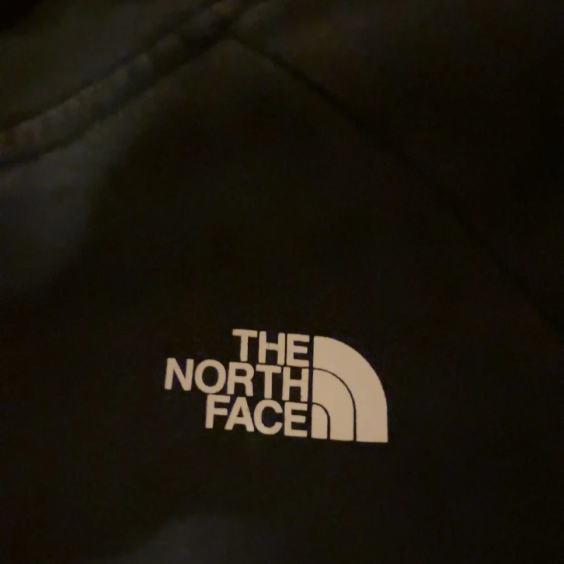 Svart hoodie från The North Face - 2