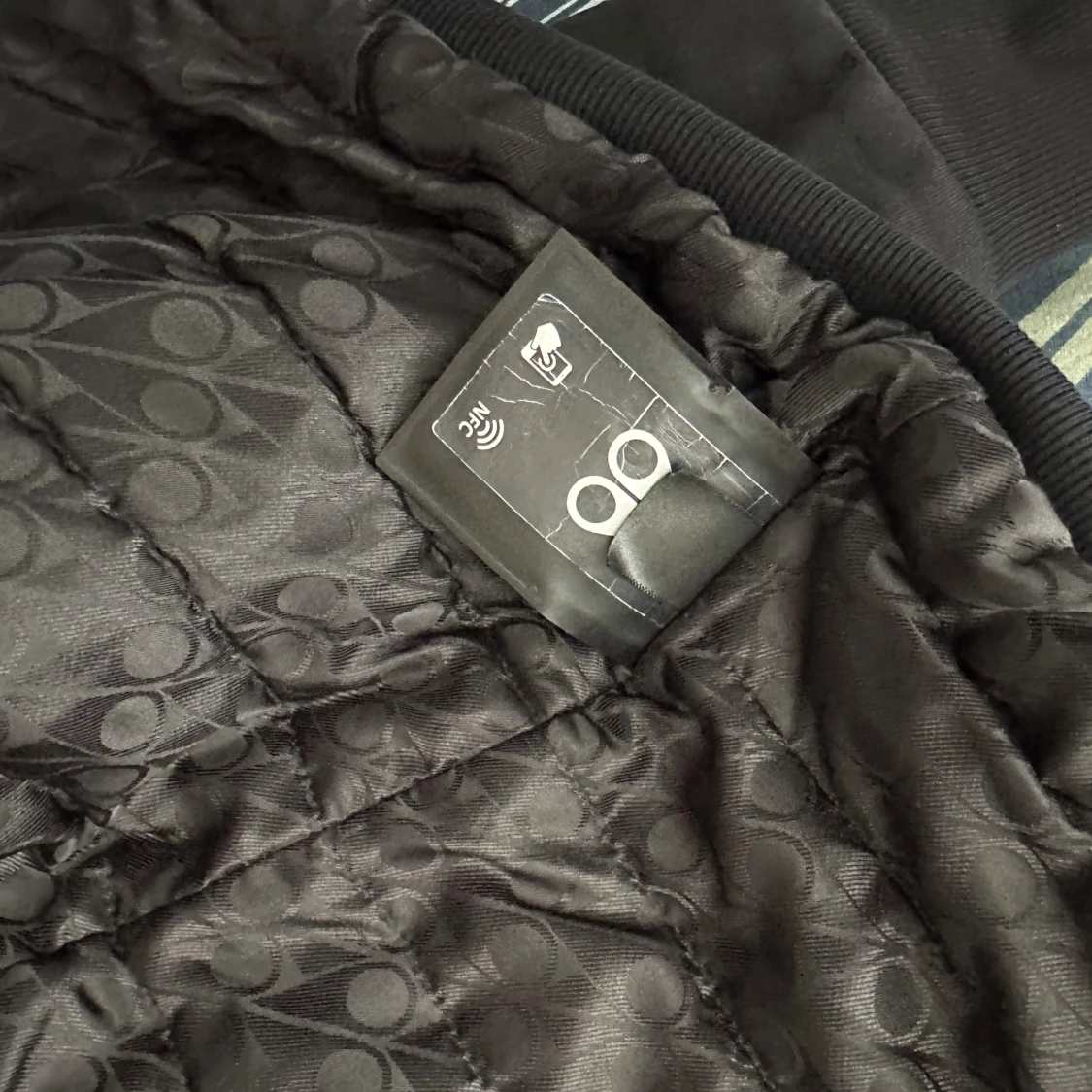 Moose knuckles bunny - 3