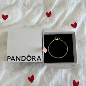 Pandora ormkedjearmband guldpläterat - Snyggt strukturerat ormkedjearmband från Pandora med 14 karats guldplätering. Armbandet har en elegant och stilren design med klassiskt lås och levereras i originalask. Perfekt accessoar för att lyfta din look. Orginal pris 2000kr💕