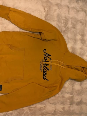 Norrlands hoodie - Senapsgul Norrlands hoodie 