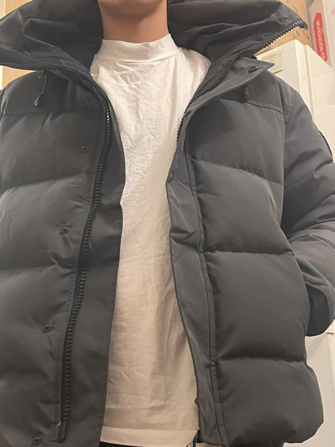 Canda gosse jacka  - 1