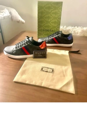 Guccis ace GG  - Gucci ace skor, helt nytt skick använda en gång då de var små. Helt äkta köpte för 4400, pris kan diskuteras.