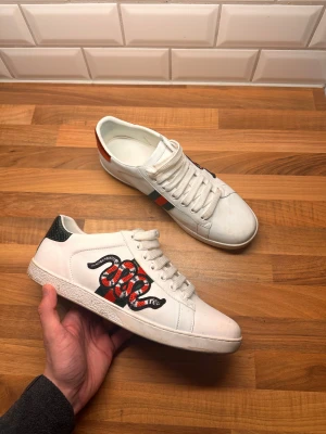 Gucci Ace skor - Riktig schyssta Gucci Ace skor. Storlek 42 men skulle likaväl kunna passa en 43. Nästan helt oanvända. Hör av dig vid funderingar😁