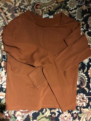 Brun långärmad topp från Stradivarius - Säljer en enkel och snygg brun långärmad topp från Stradivarius i storlek S. Toppen har rund halsringning och är gjord i mjuk bomull, perfekt för dig som gillar basic och jordnära färger. Passar dig som vill ha en clean och chill look.