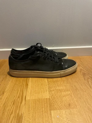 Lanvin med Glans  - Lanvin  Med Glans Storlek 43 (sitter som 42) Använda men mycket kvar att ge!