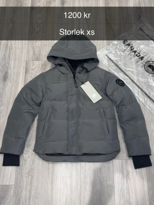 Grå dunjacka från Canada Goose XS - Säljer en grå dunjacka från Canada Goose i storlek XS. Jackan har huva, svarta muddar och en snygg patch på ärmen. Den är quiltad och har dragkedja framtill. Perfekt för kalla dagar och har en clean look som funkar till allt.