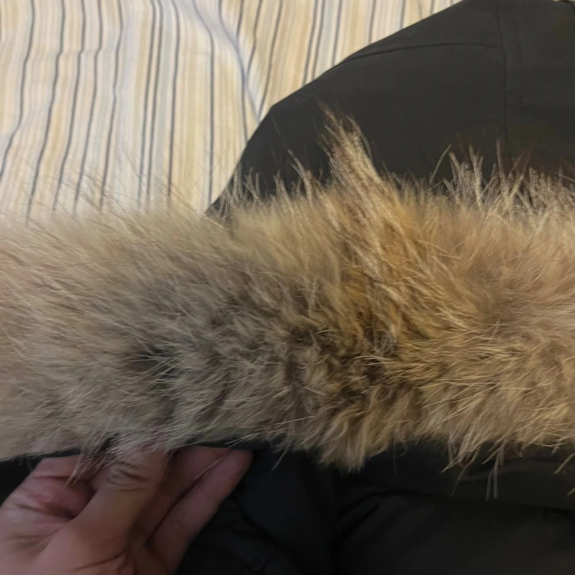 Svart dunparkas från Canada Goose - 4