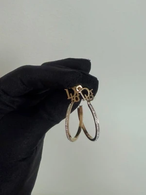 Örhängen Dio’R - Rostfritt stål 