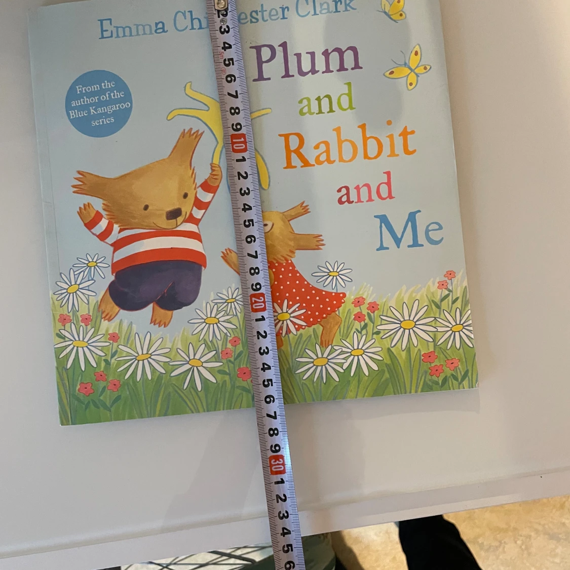 Plum and Rabbit and Me - 3