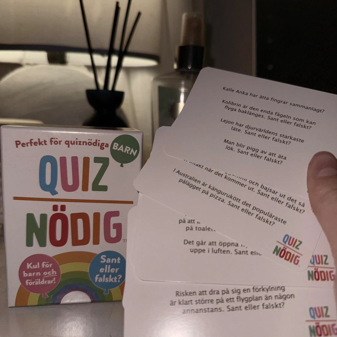 Quiznödig Barn - Sant eller falskt? Spel NYTT!