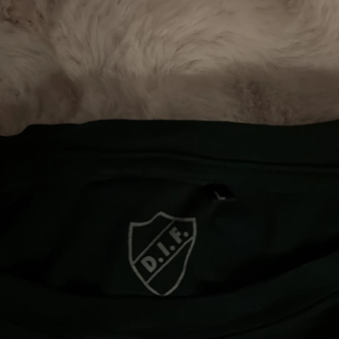 Svart Djurgården fotbollströja Radetinac - 2