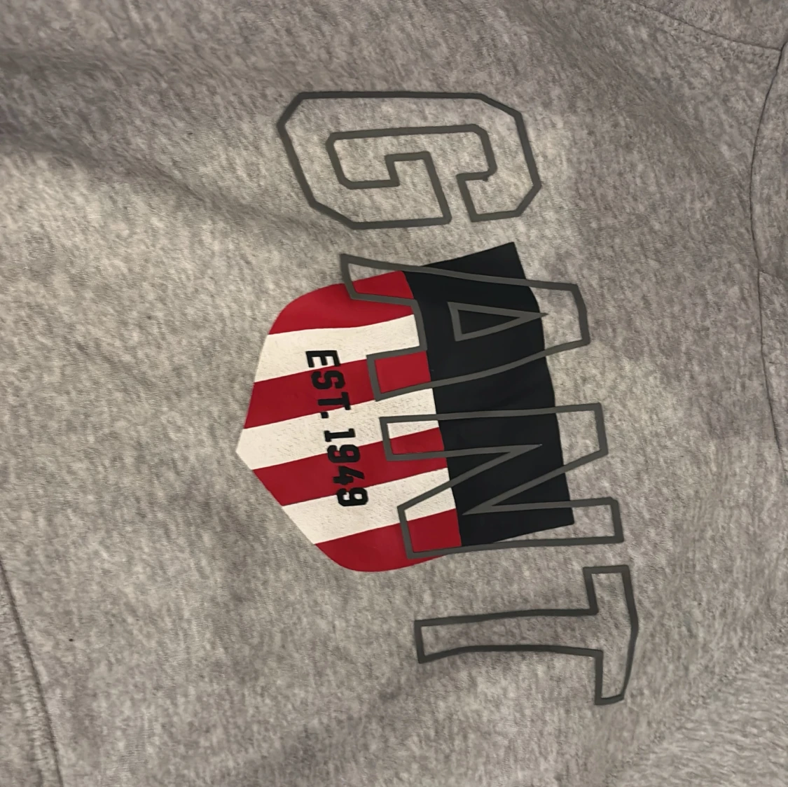 Grå hoodie från GANT med tryck - 1