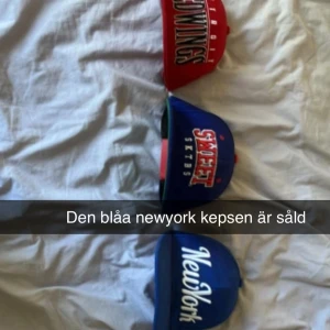 Säljer kepsar inte fri frakt även om det står. - Säljer kepsar de kepsarna som finns kvar är Detroit Redwings kepsen och Sweet SKTBS båda kepsarna är SnapBack så man kan ändra storlek men Detroit Redwings kepsen är Youth så den är mindre än den andra 100kr för båda och 50kr för en kommer lägga ut en annons på den ni vill ha om ni vill köpa.