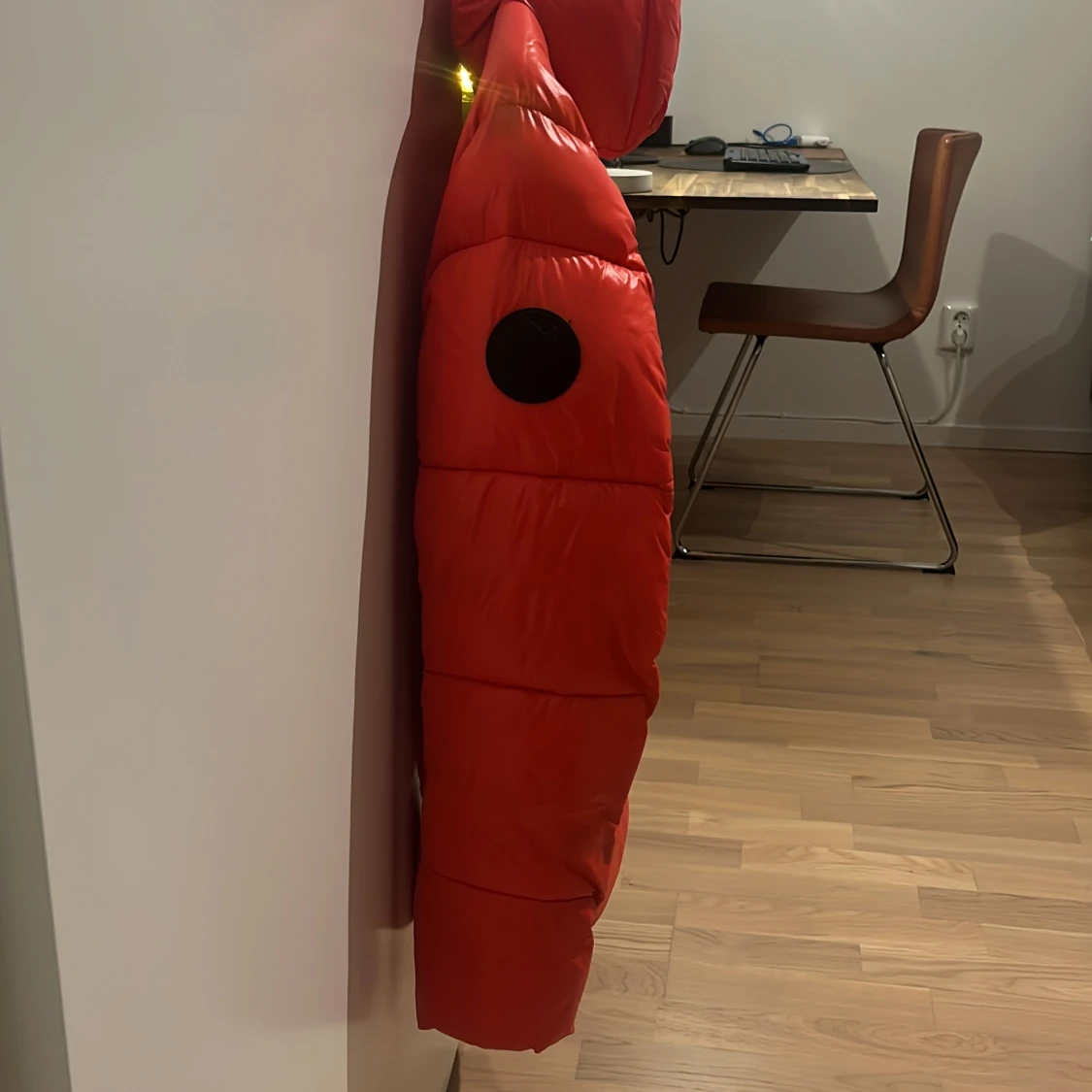 Save the duck Edgard - 2