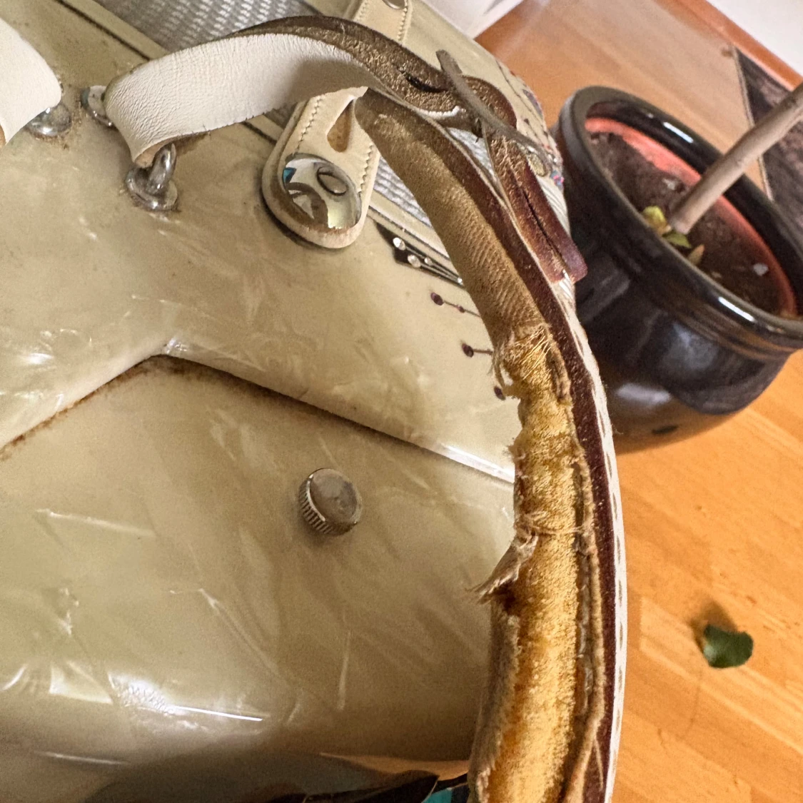 Bugari Armando Dragspel - 4