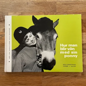 Hur man blir vän med sin ponny - Upptäck hur du och din ponny kan bli bästa vänner! Den här boken guidar dig genom allt från ponnyvård och ridning till lekar och tävlingar. Perfekt för unga hästälskare som vill förstå och ta hand om sin ponny på bästa sätt.