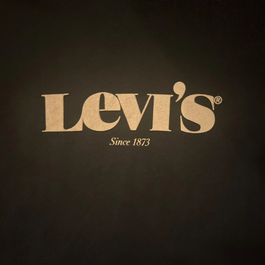 Levis hoodie Marinblå  - 1