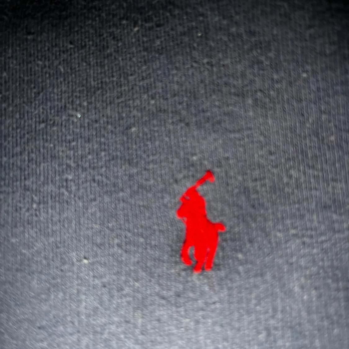 Polo Ralph Lauren zip hoodie   - 2