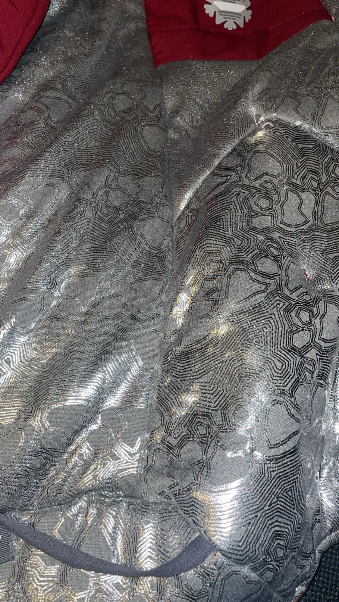 Vinter täcke hund - 3