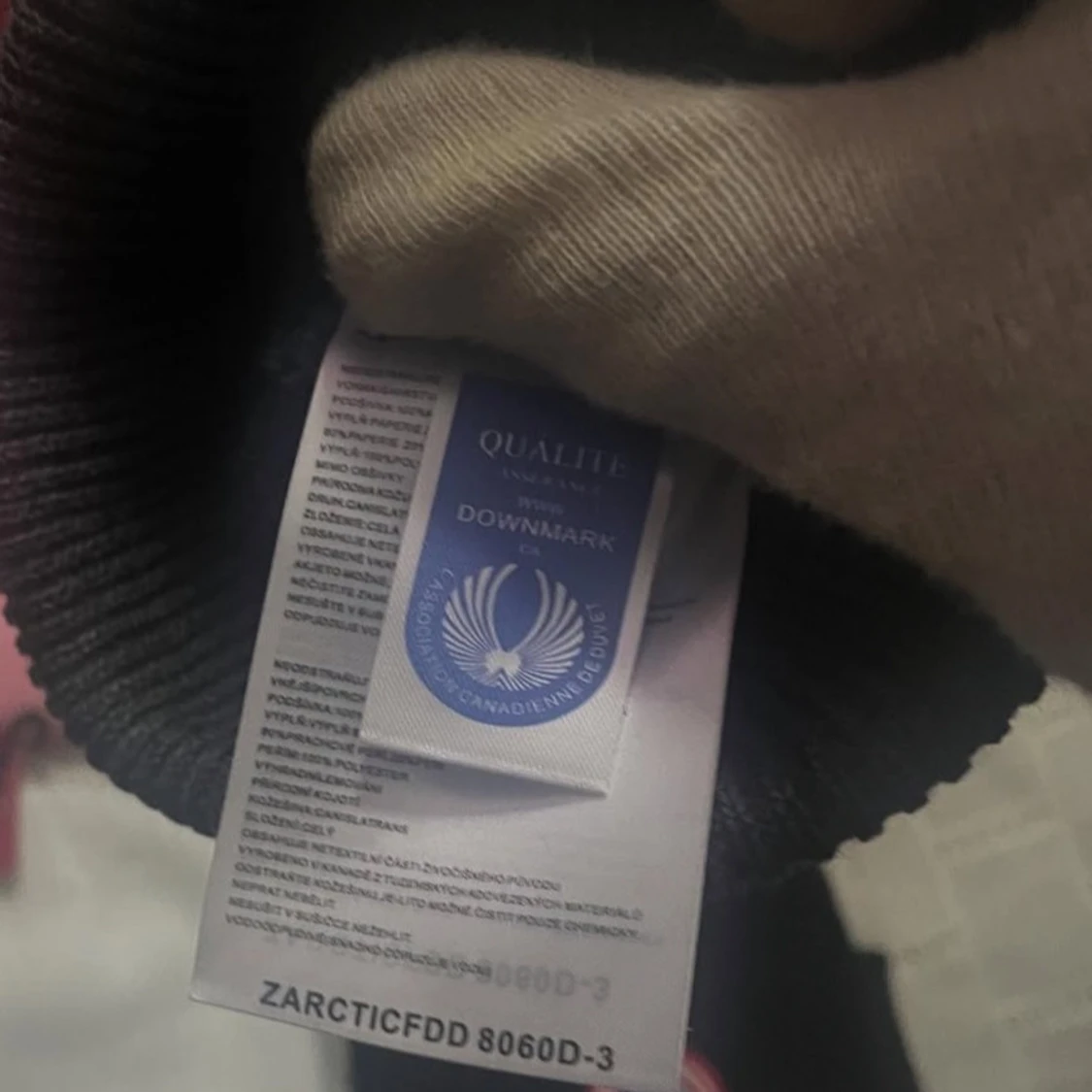 Canada goose vintermössa  - 2