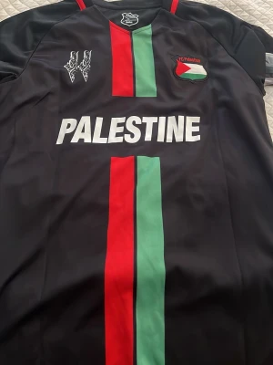 Svart FC Palestine fotbollströja - Snygg svart fotbollströja från FC Palestine med röd och grön rand längs mitten, stort tryck 'PALESTINE' på bröstet och klubbmärke. Baksidan har vita siluetter och samma färgade ränder. Perfekt för dig som gillar unika matchtröjor.