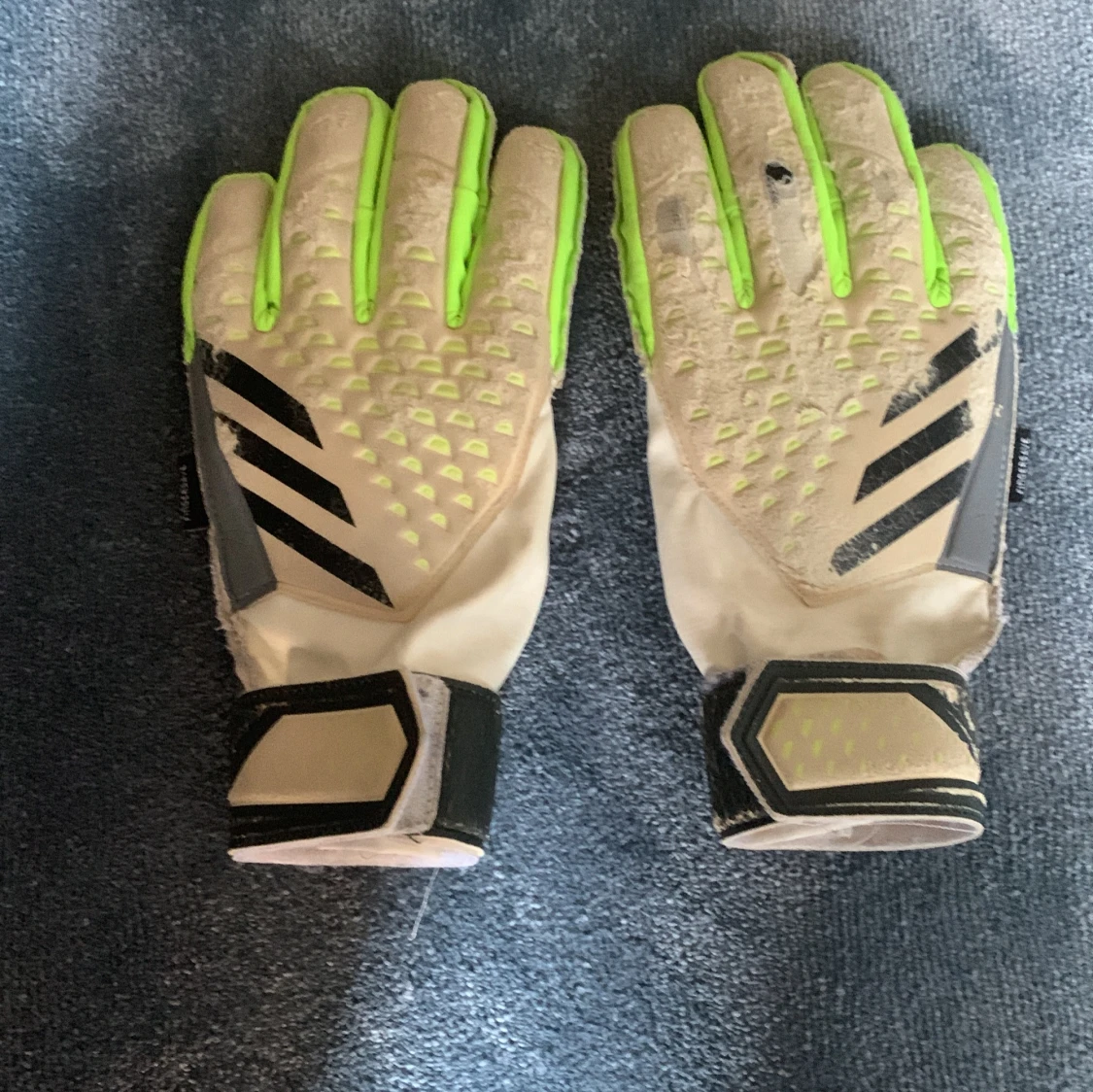 Adidas Predator målvaktshandskar