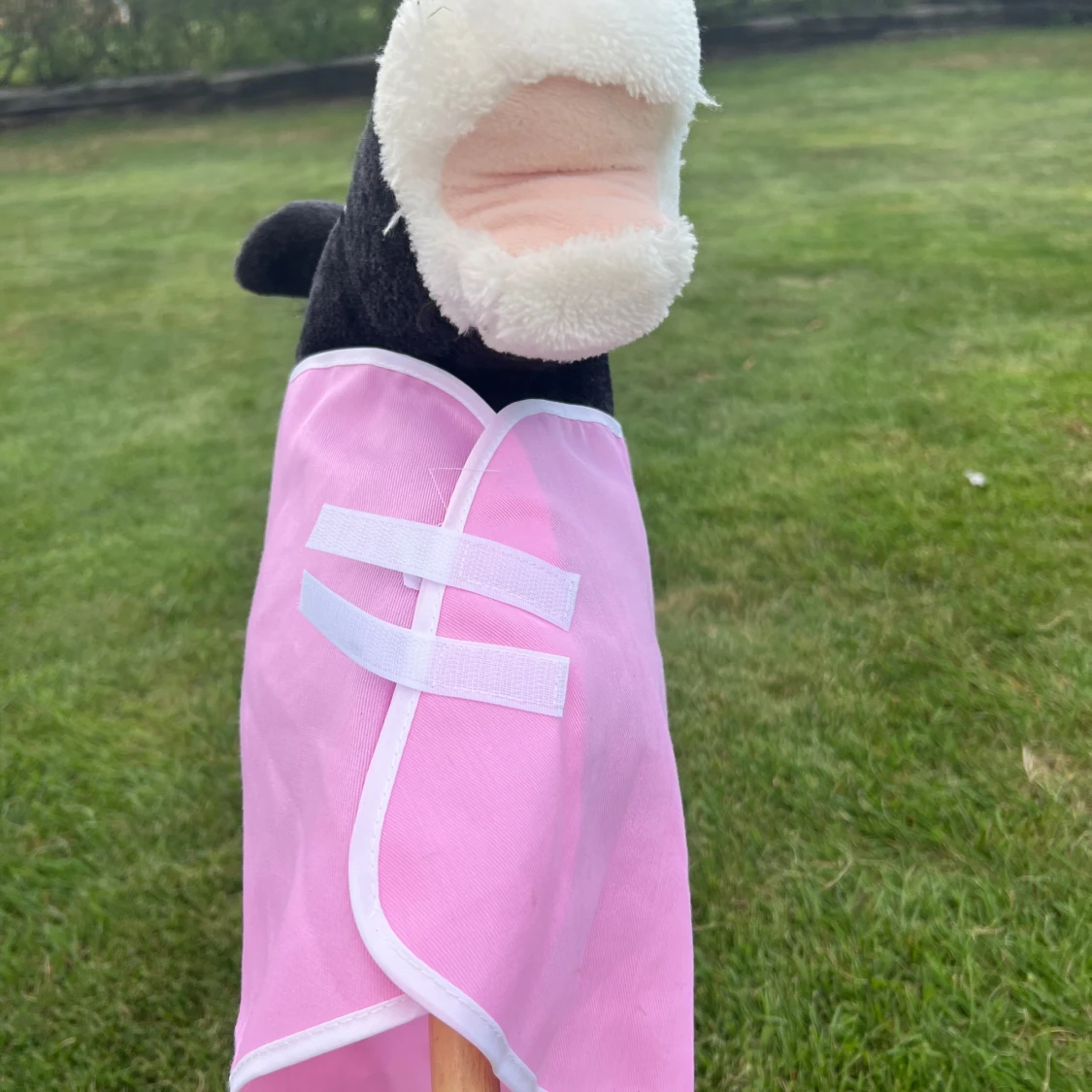 Rosa käpphästtäcke. - 2