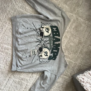 Grå sweatshirt med CHAMPS-tryck - Säljer en grå sweatshirt med coolt tryck på framsidan med texten CHAMPS Series och två amerikanska fotbollshjälmar. Tröjan har lång ärm och klassisk passform, perfekt för en sportig och avslappnad stil. Materialet känns mjukt och skönt mot huden.