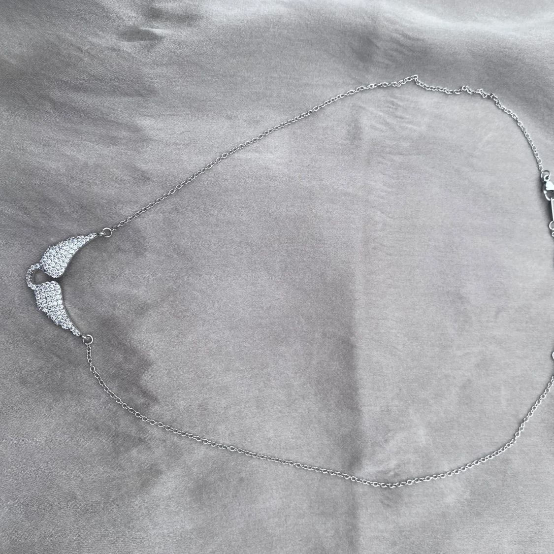 Silverhalsband med glittriga vingar - 1