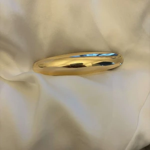 MixClipx- Cornelia - Guldig oval Mixclipx✨(clips på baksidan) ca 10cm