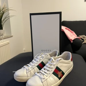 Gucci ace skor - Snygga vita skor från Gucci, skorna är använda men fortfarande bra skick. Storlek 40,5 och boxen skickas med såklart!