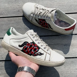 Gucci Ace snake - Gucci Ace snake skor till ett riktigt bra pris! Bra skick 7,5/10. Ingen orginal sula, kan lösa en annan eller så gör köparen det. Endast skor. Storlek 44. Kontakta mig för fler frågor eller funderingar!