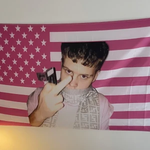 Yung Lean flagga  - Säljer min flagga med Yung Lean på då jag redan har en, skriv privat för mått 🥰