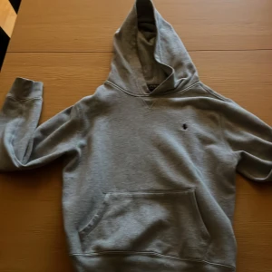 Grå hoodie från Polo Ralph Lauren - Säljer en klassisk grå hoodie från Polo Ralph Lauren med liten broderad logga på bröstet. Tröjan har huva och magficka, perfekt för en avslappnad stil. Passar dig som gillar enkel och tidlös design.