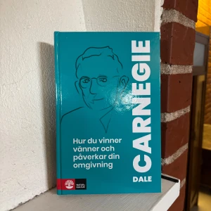 Hur du vinner och påverkar din omgivning  - Carnige