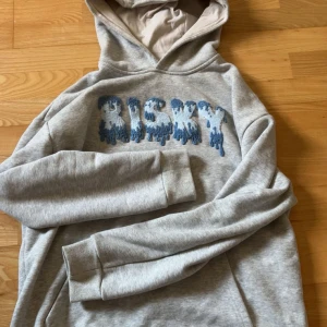 Säljer eb Grå risky hoodie med blå text 300kr - Säljer en grå risky hoodie med en cool blå text på framsidan. För 300kr