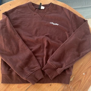 Brun sweatshirt från H&M - Säljer en brun sweatshirt från H&M med rund hals och broderad text på bröstet. Tröjan har långa ärmar och ribbade muddar vid ärmslut och nederkant. 