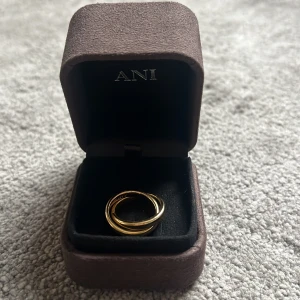 Ring från ani  - Elegant guldfärgad ring från ANI jewels i en stilren brun ask. Perfekt för att ge en touch av lyx till din stil. Ringen har en enkel och tidlös design som passar till alla tillfällen. Dualite ring i storlek 16, helt ny aldrig använd