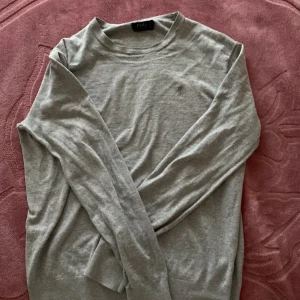 Grå tröja från Polo Ralph Lauren - Säljer en stilren grå tröja från Polo Ralph Lauren. Tröjan har långa ärmar och en klassisk rund halsringning. Perfekt för en avslappnad och snygg look.