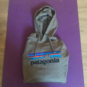 Grå hoodie från Patagonia - Säljer en grå hoodie från Patagonia med klassisk logga och färgglatt tryck på bröstet. Tröjan är iprincip ny och i väldigt gott skick🤝
