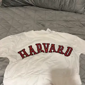 En vit Harvard tröja 