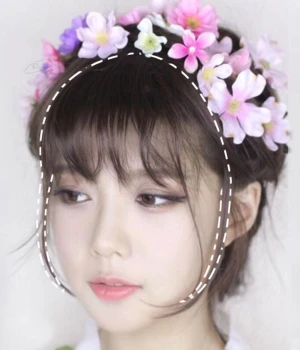 Fransar Lugg Hårförlängningar  - 55kr/st