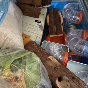 Hamsterbur med tillbehör 🥰 - Säljer allt det som finns på bilden, pris kan diskuteras beroende på vad det är ni vill köpa🥰. Grejerna är i gott skick då mina hamstrar sov mycket. Buren är  blå med två våningar, stege medföljer. Vid frågor skriv gärna 💞