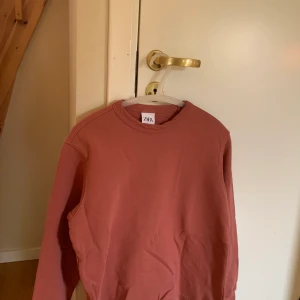 Zara sweatshirt - Zara sweatshirt. Bra skick 