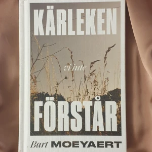 Kärleken vi inte förstår - Kärleken vi inte förstår är en bok för lite äldre målgrupp. 