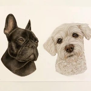 Miniatyrporträtt - Målar miniatyrporträtt på era djur! Storleken är A5 och kostar 350kr. Frakten är inräknad i priset. Hälften av det jag får in skänker jag till hundstallet!  För min säkerthet så tar jag även en handpenning på halva summan 😁 Kontakta mig vid intresse!   