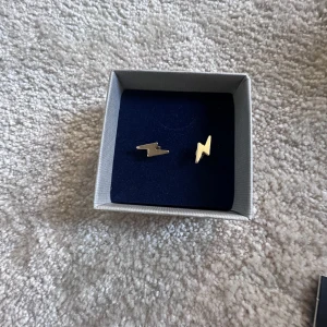 Örhengen - Fina blixtörhengen!!!