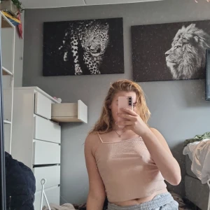 Topp - Den är XS men är stor ändå, tror den skulle kunna pass en S/M, själv är jag M  Kommer från bibok  Kan skickas på post