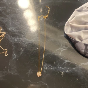 Halsband  - Ett jätte snyggt halsband. 